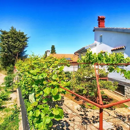 Apartman Ivan 535 *